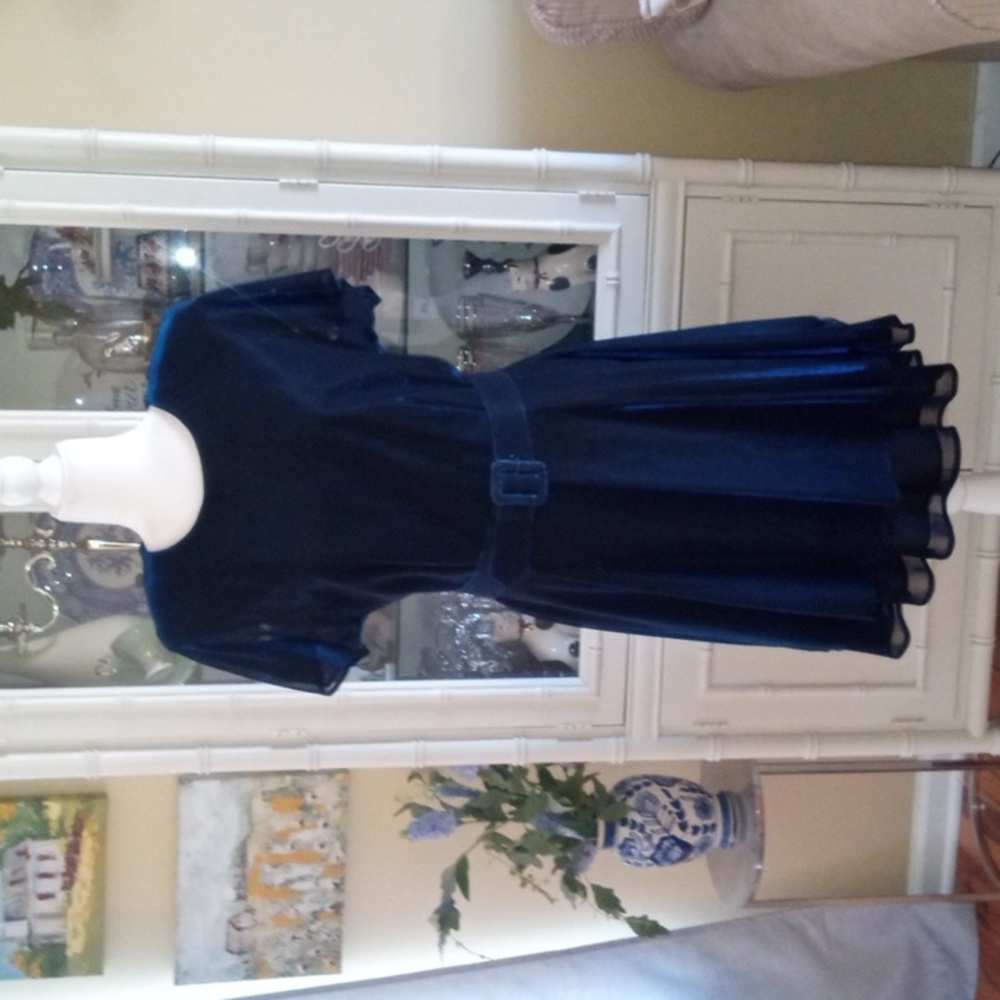 Vintage Molly Malloy Evening lined metallic midi dress